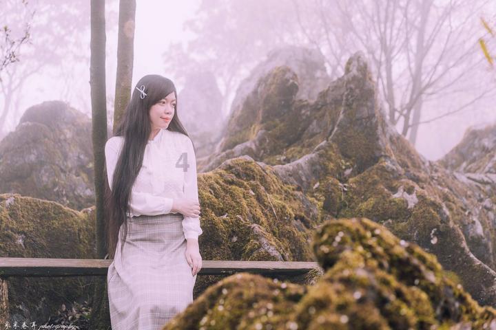梦幻西游电脑版